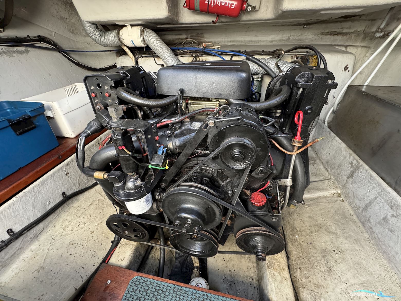 Hardy Seawings 254