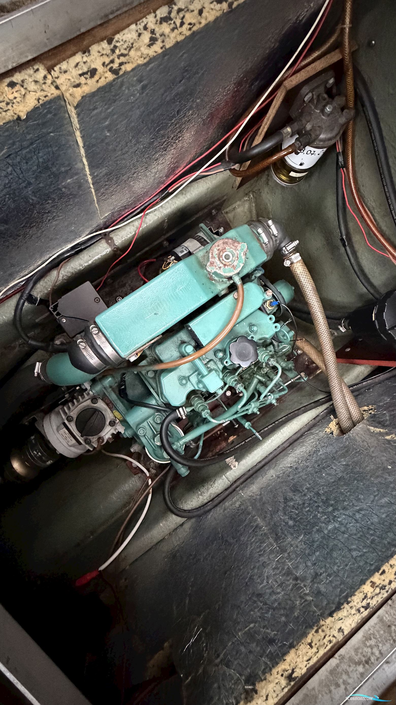 Hasla 26