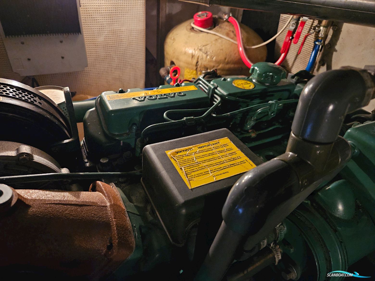 Kempala Kotter 13.50