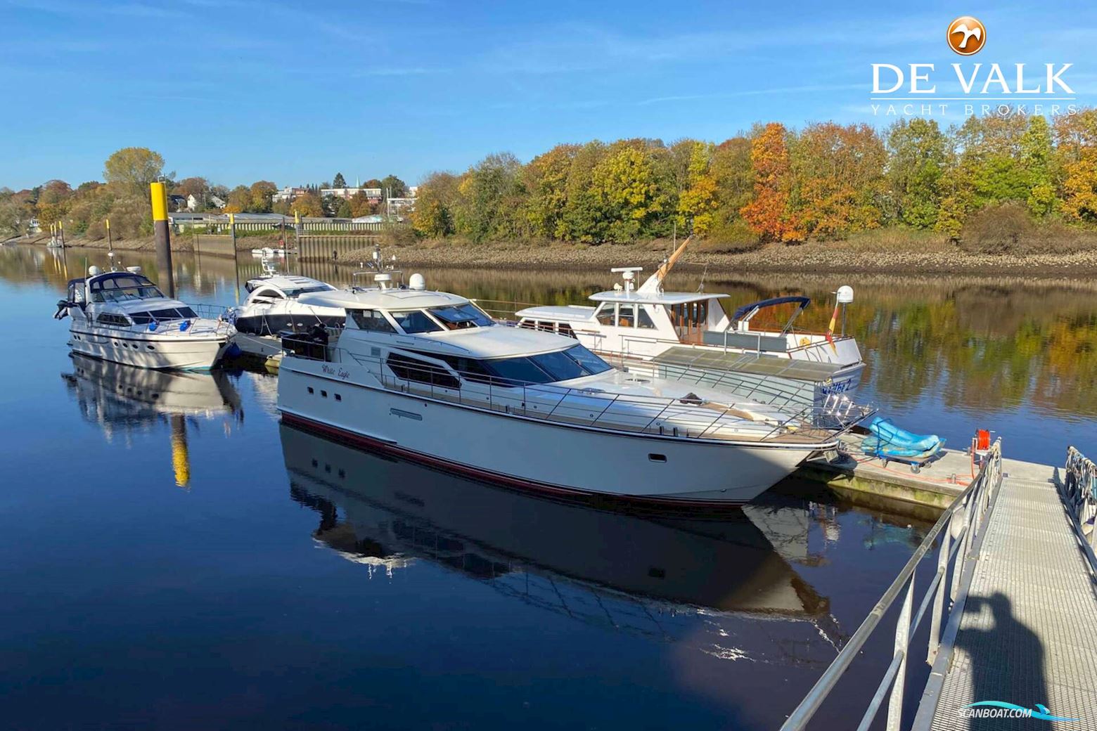 Kempers Excellent 65