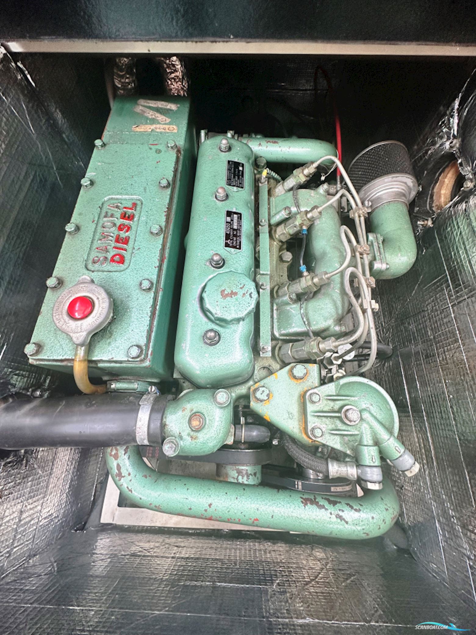 Klaverviervlet 950 OKAK