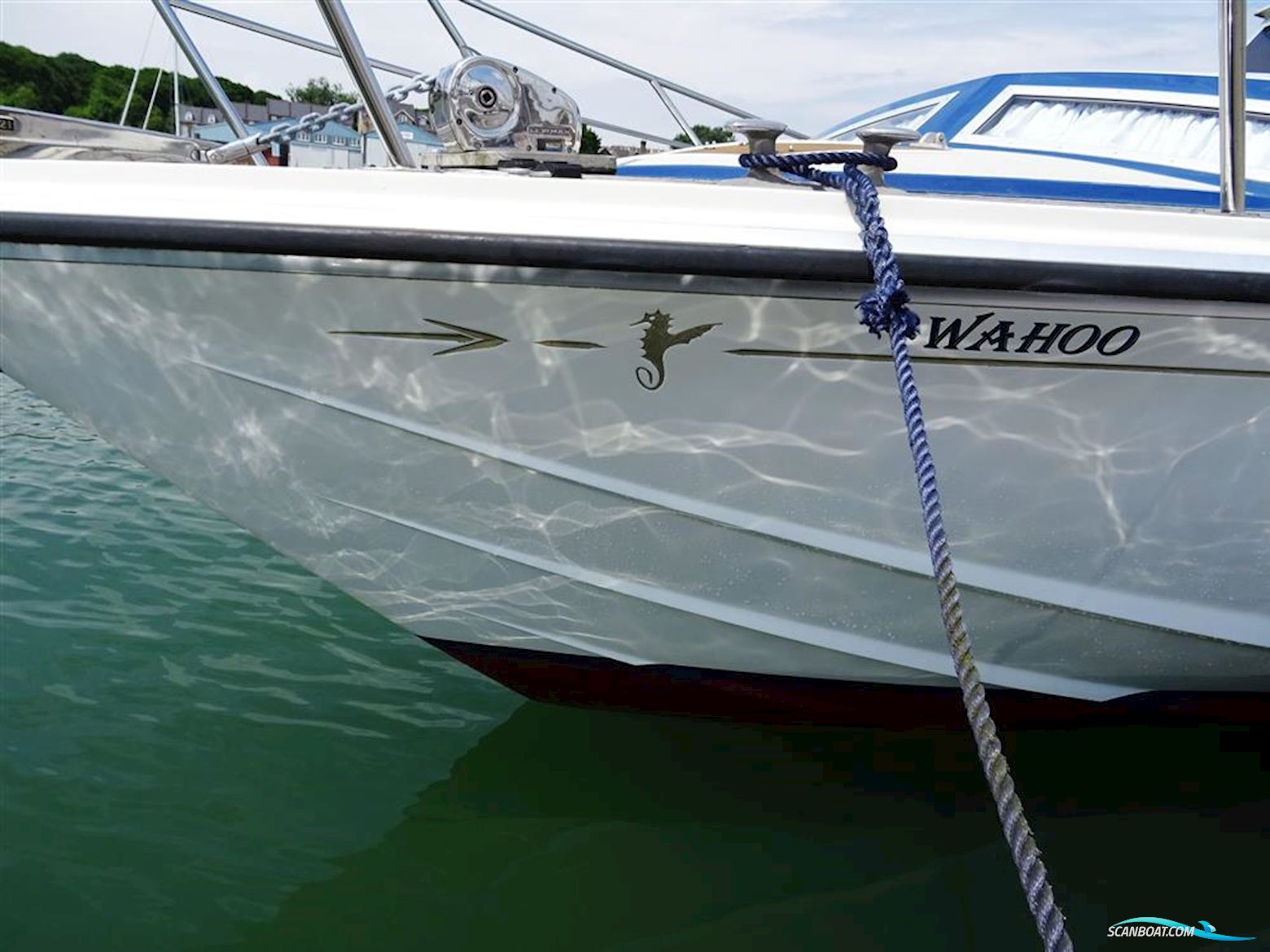 Levi Triana Tantarella 35