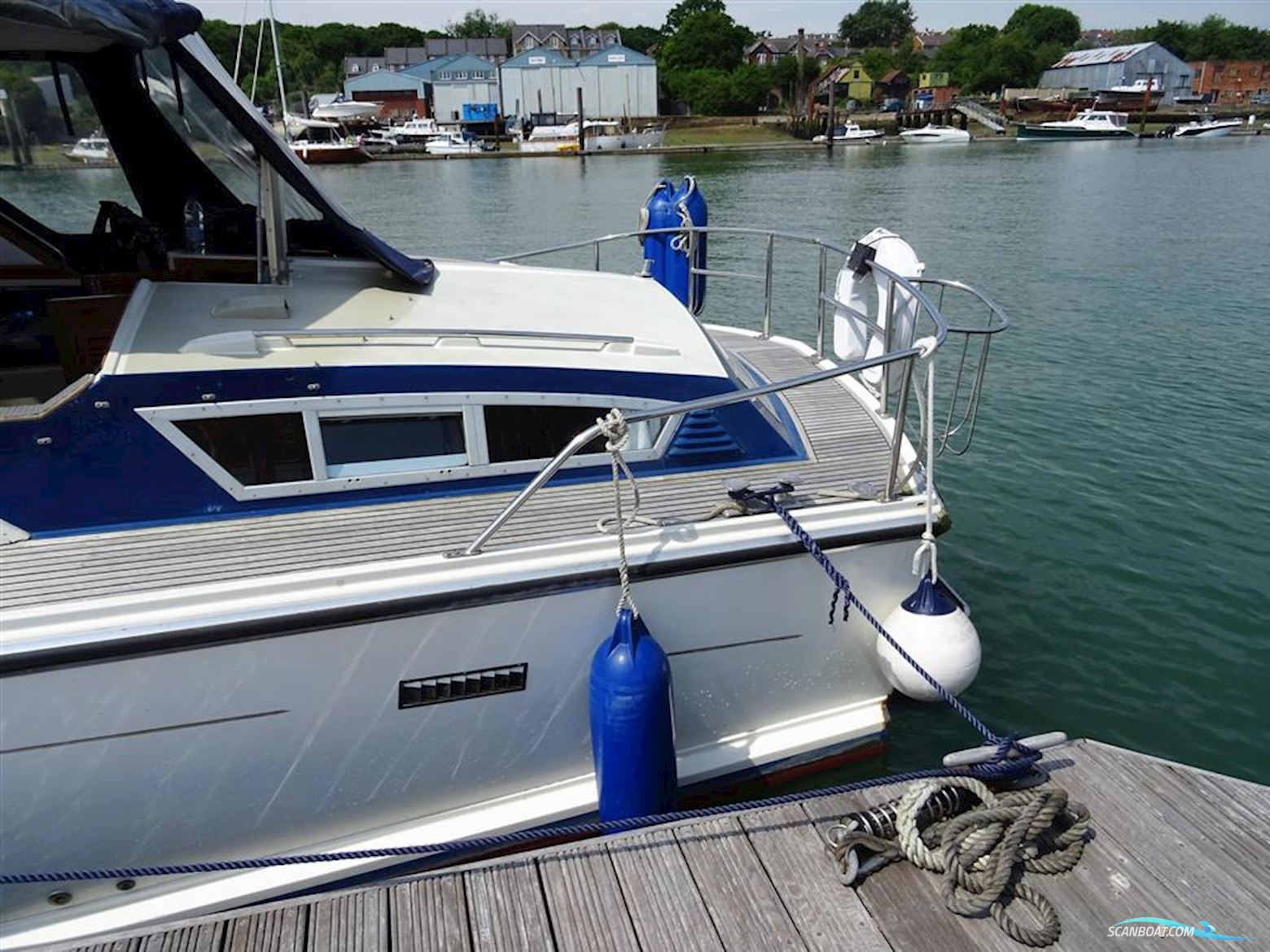 Levi Triana Tantarella 35