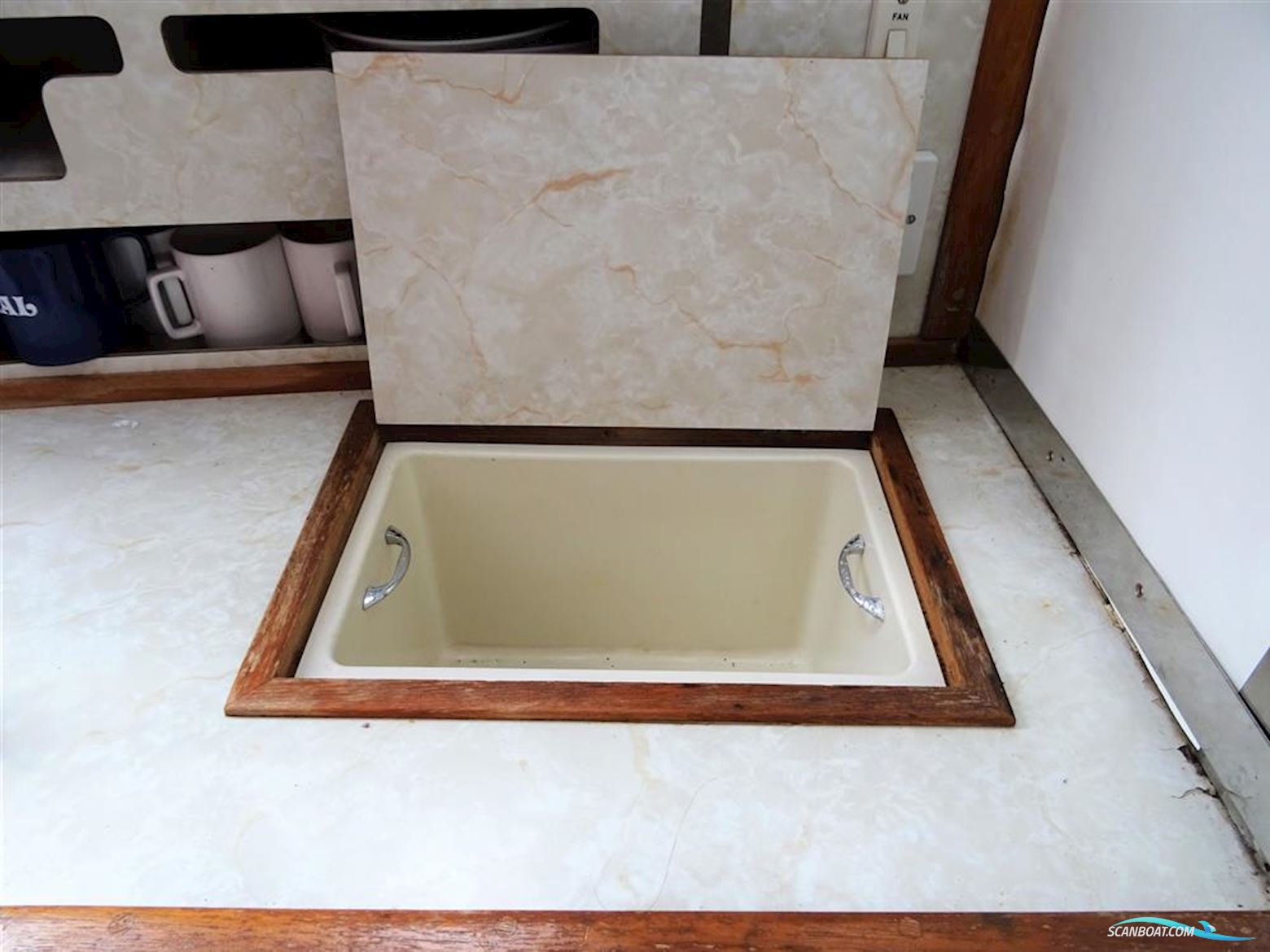 Levi Triana Tantarella 35