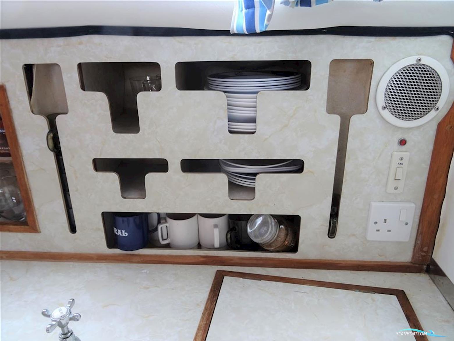 Levi Triana Tantarella 35