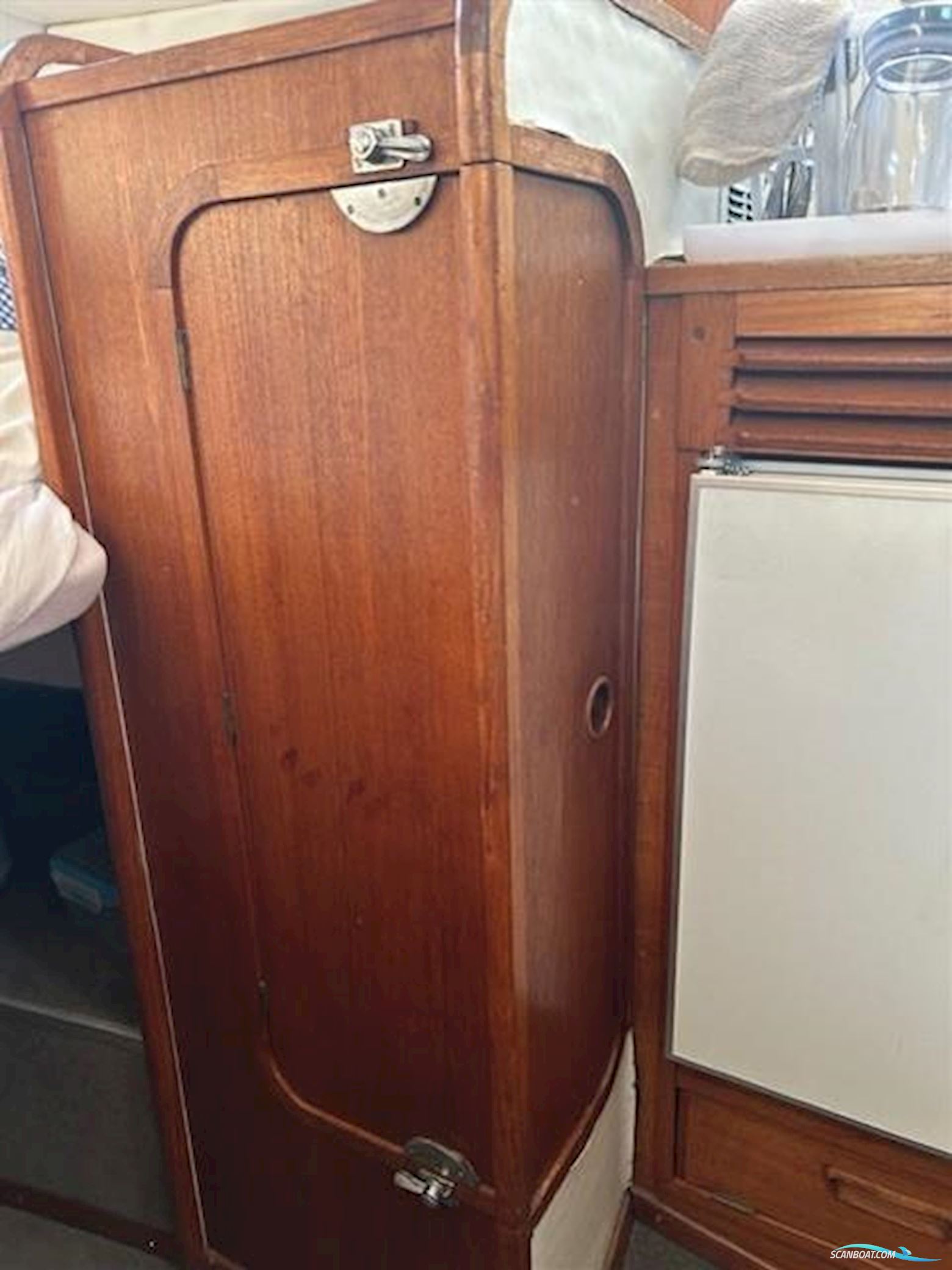 Levi Triana Tantarella 35