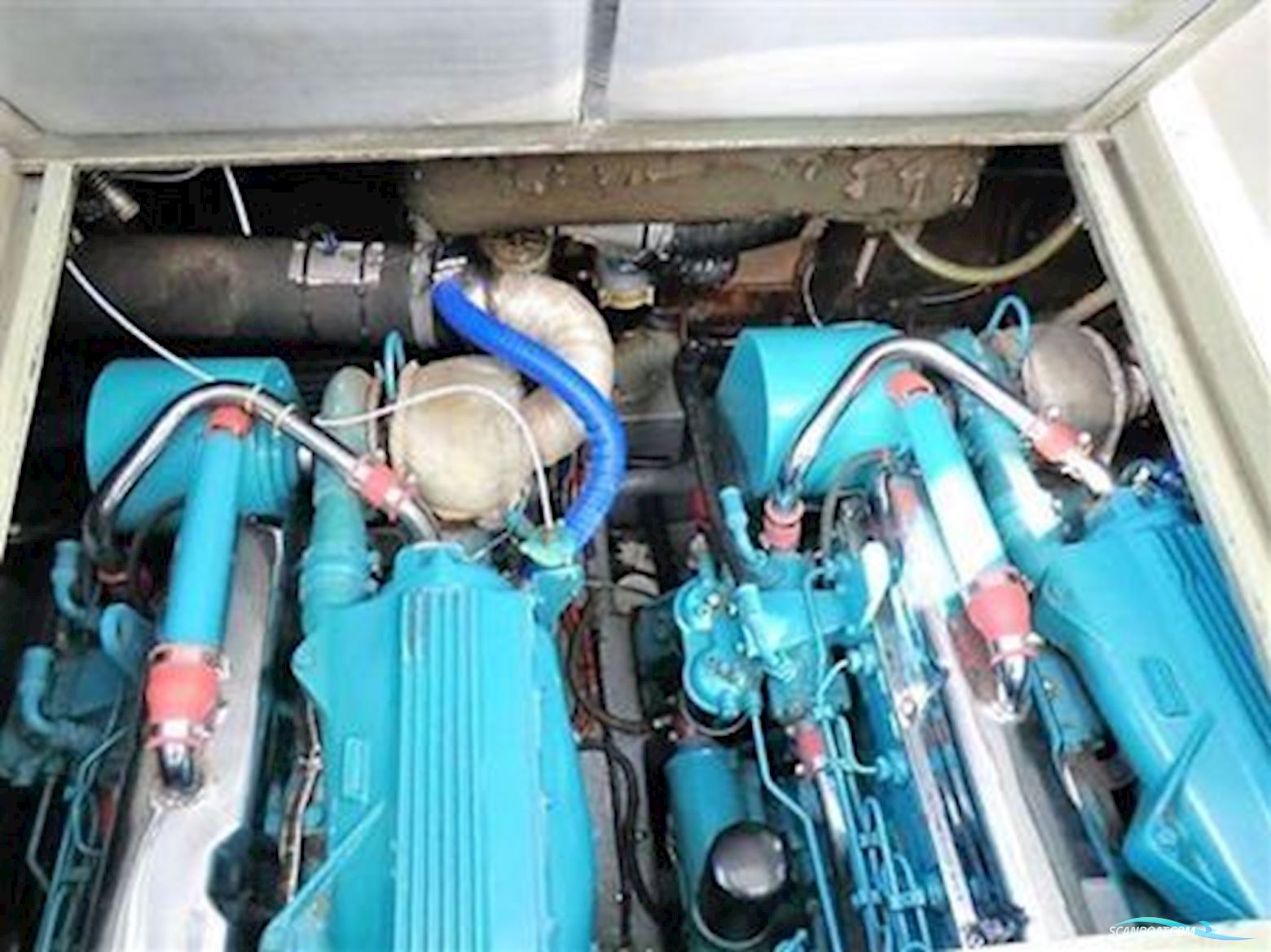 Levi Triana Tantarella 35