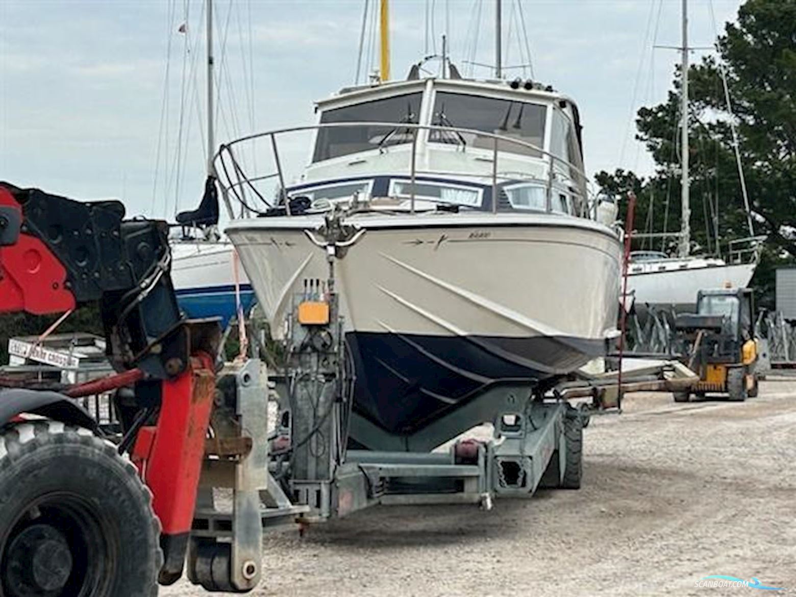 Levi Triana Tantarella 35