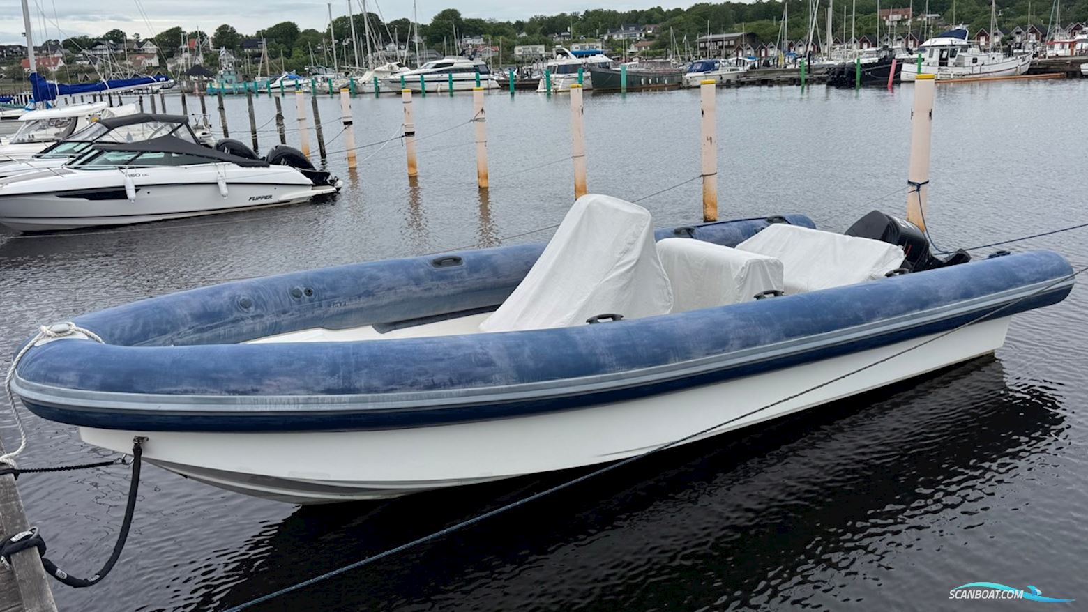 Light Marin LM75