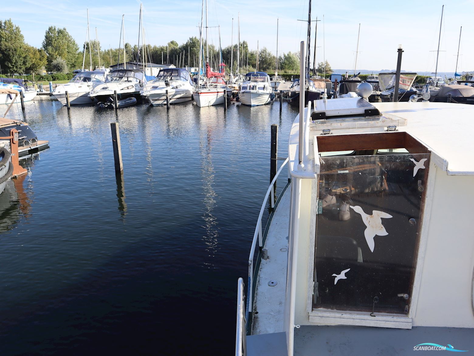 Loosevlet 950 Sint Jozef