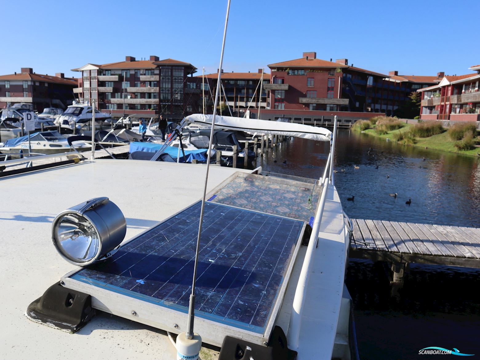 Loosevlet 950 Sint Jozef