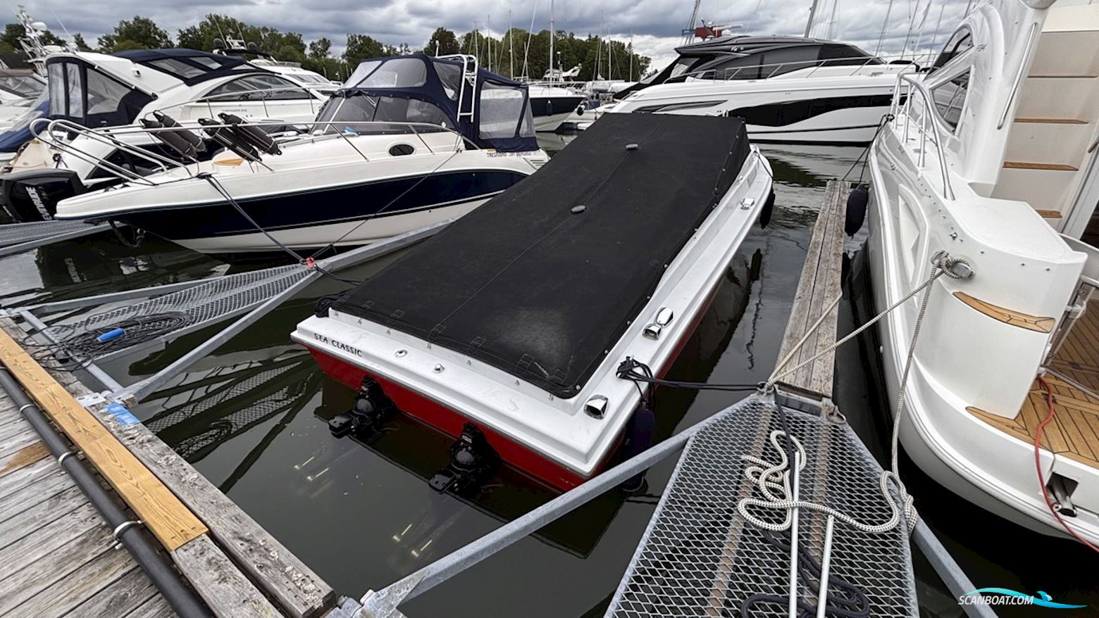 Maltese 27 Sport
