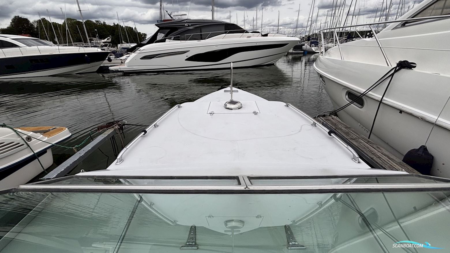 Maltese 27 Sport