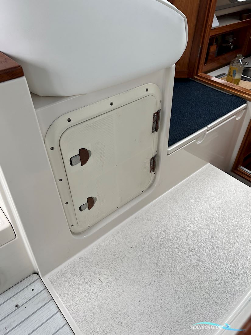 Marex 290 Sun Cruiser