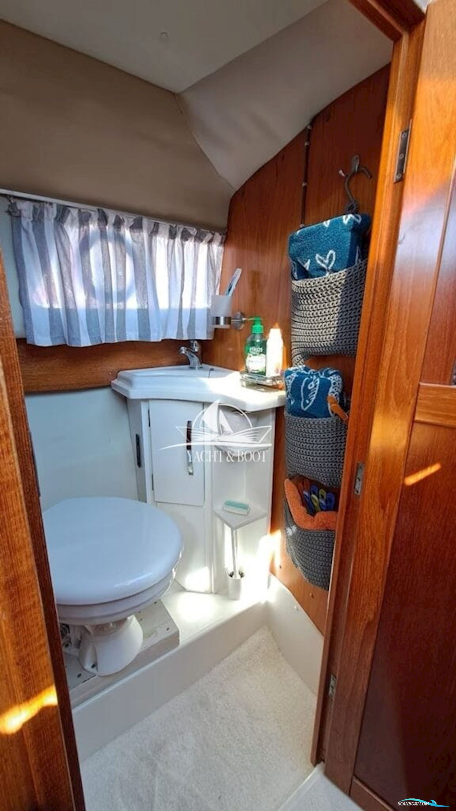 Marex Holiday