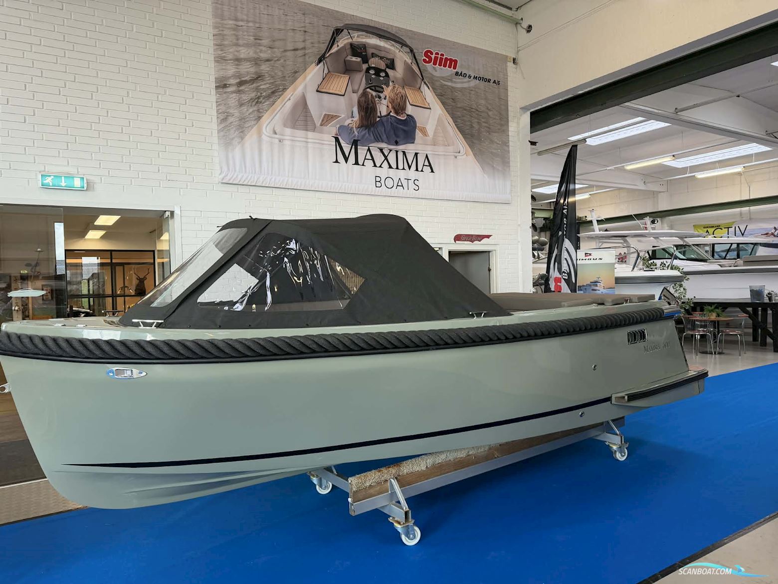 Maxima 600