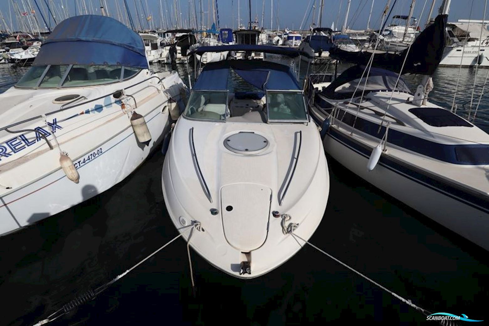 Maxum 2100sc