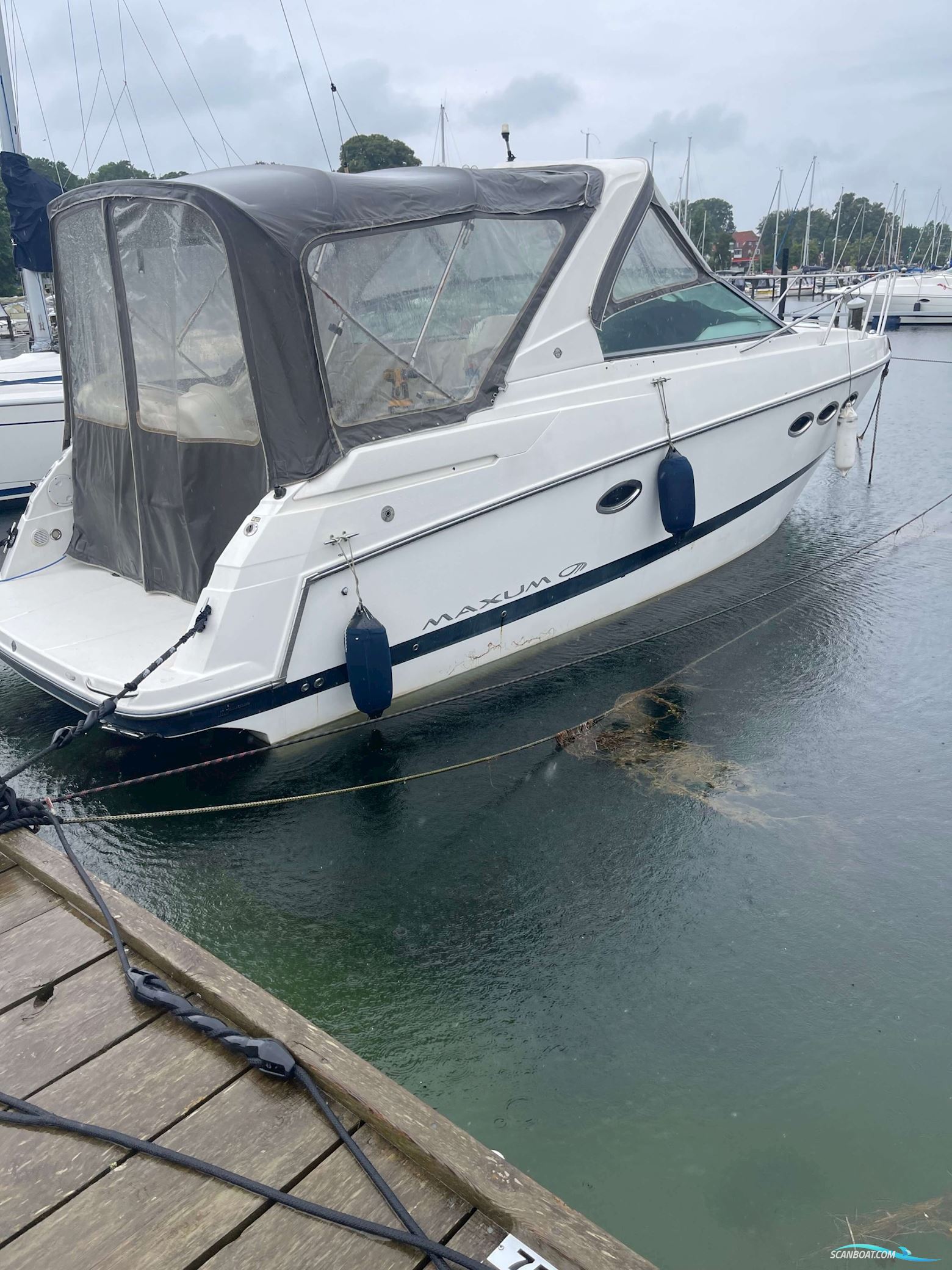 Maxum 2900 SE  (2008) - NEDSAT