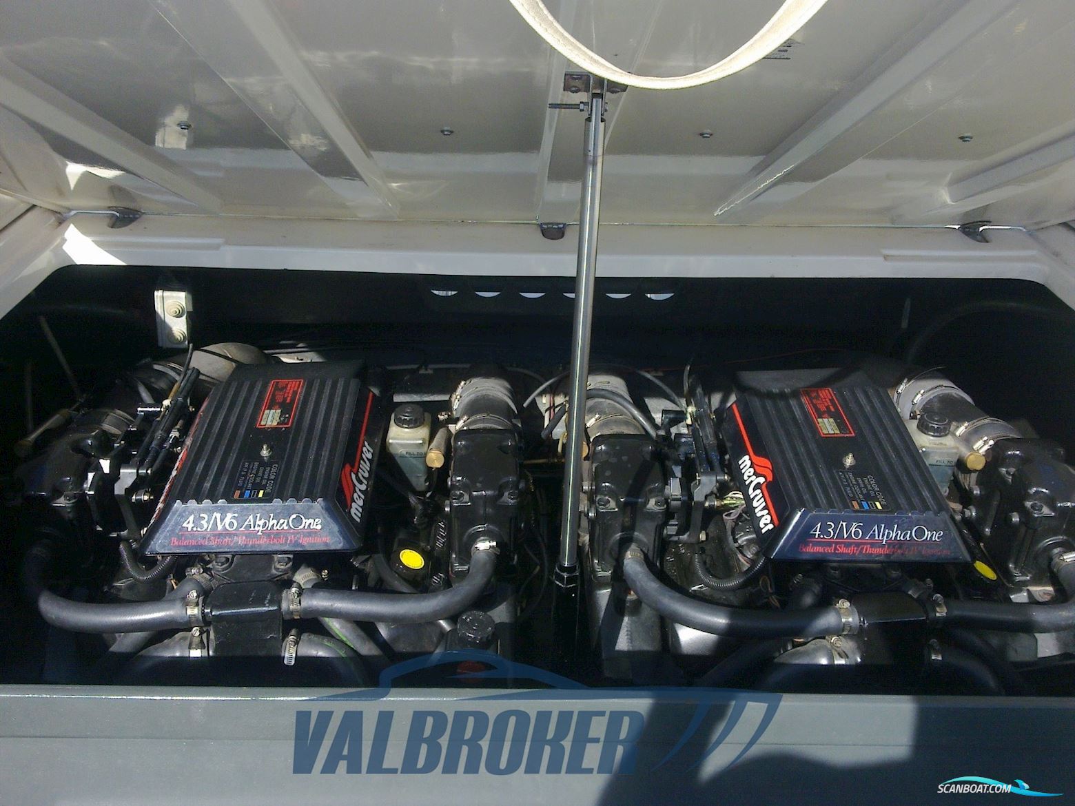 Molinari Falcon 26