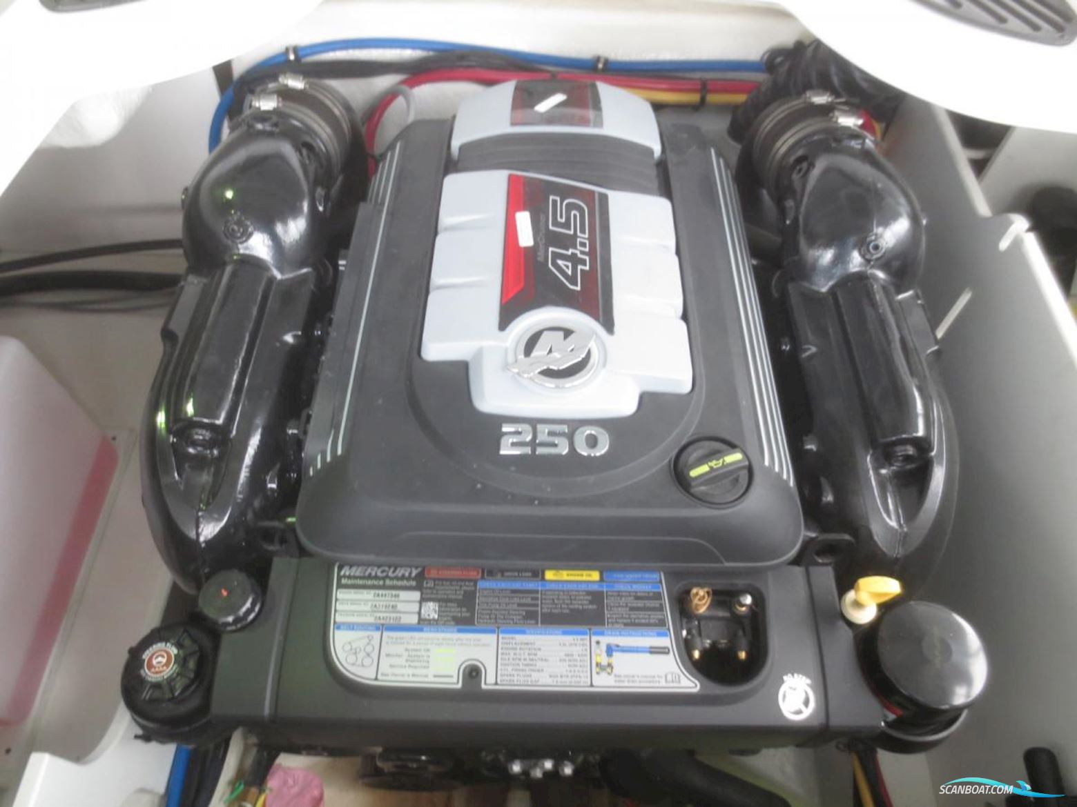 Monterey 244 Fsx