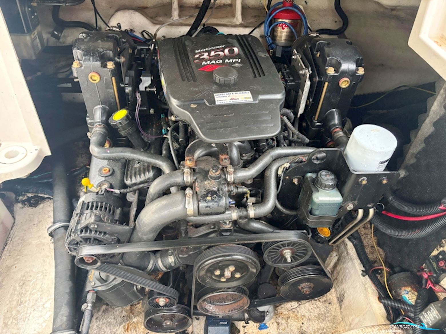 Monterey 248 LC Montura