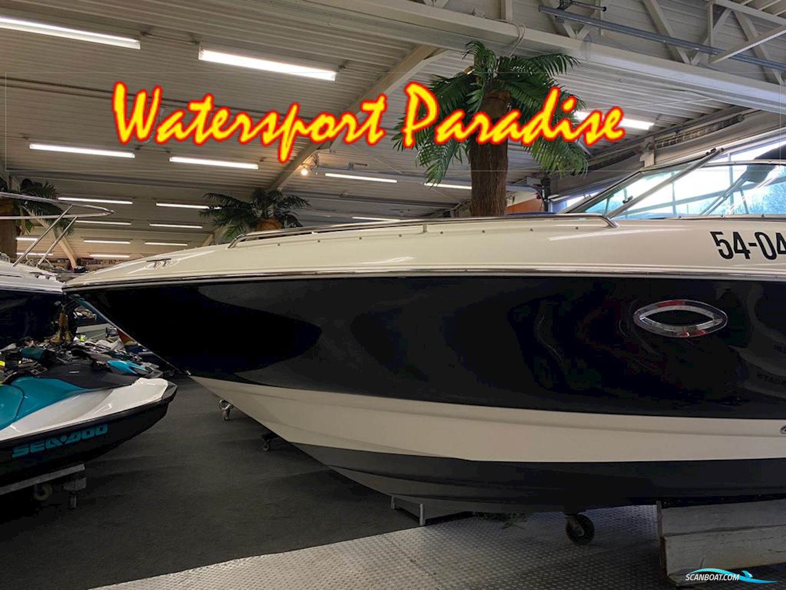 Monterey 248 LS Montura