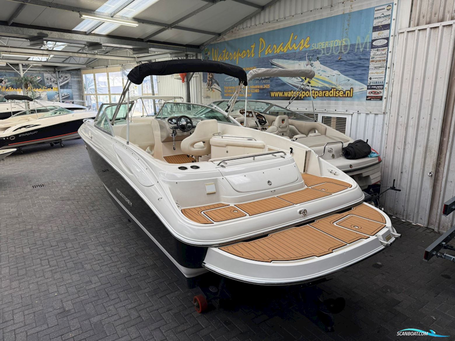 Monterey 248 LS Montura