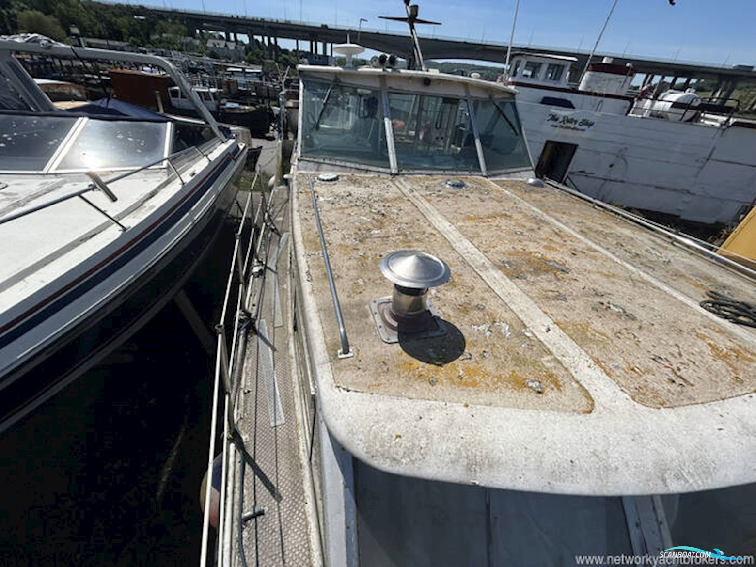 Moonraker 36