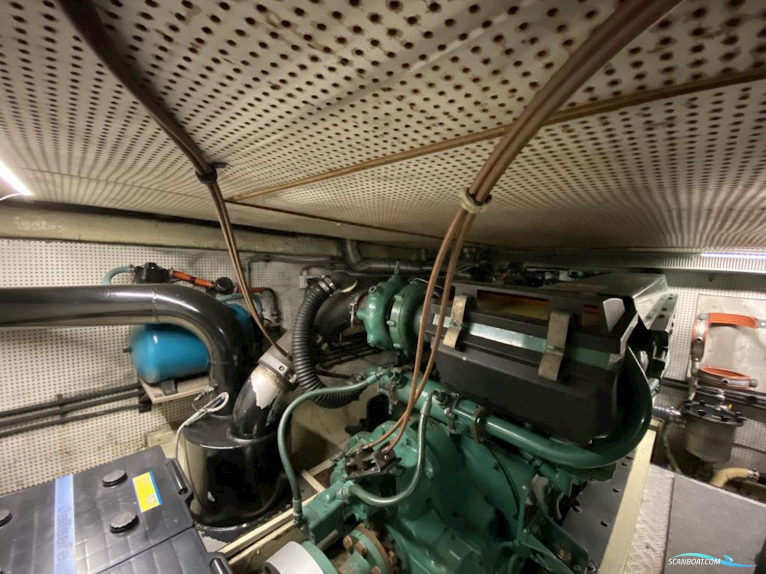 Neptunus 138 Sedan Fly