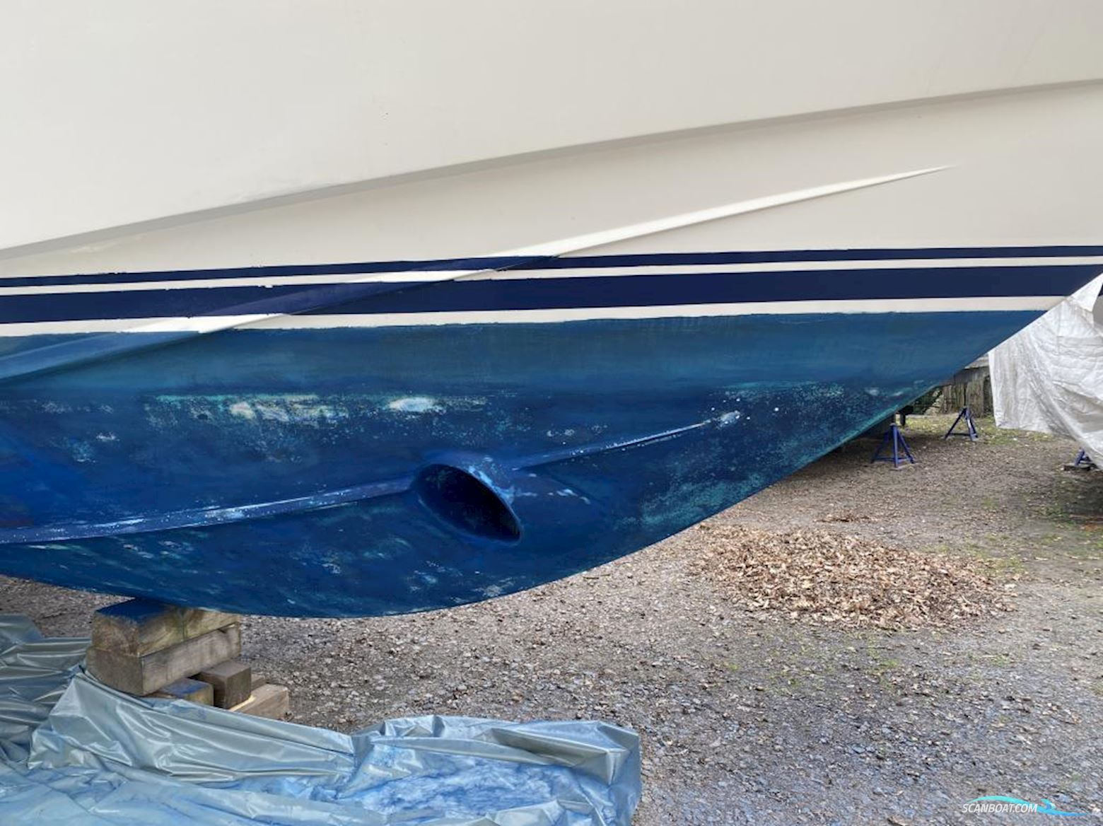 Neptunus 138 Sedan Fly