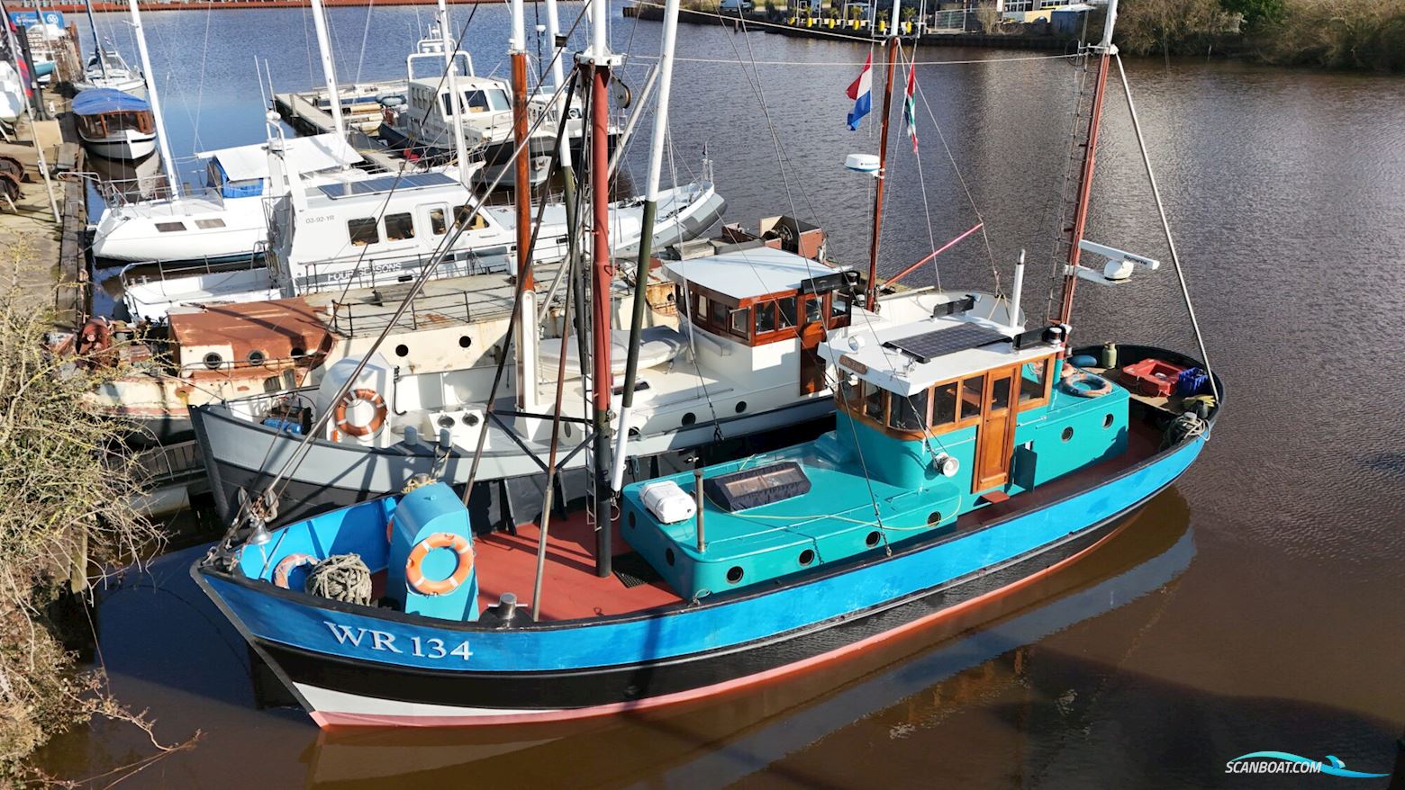 Noordzeekotter ‘WR 134’