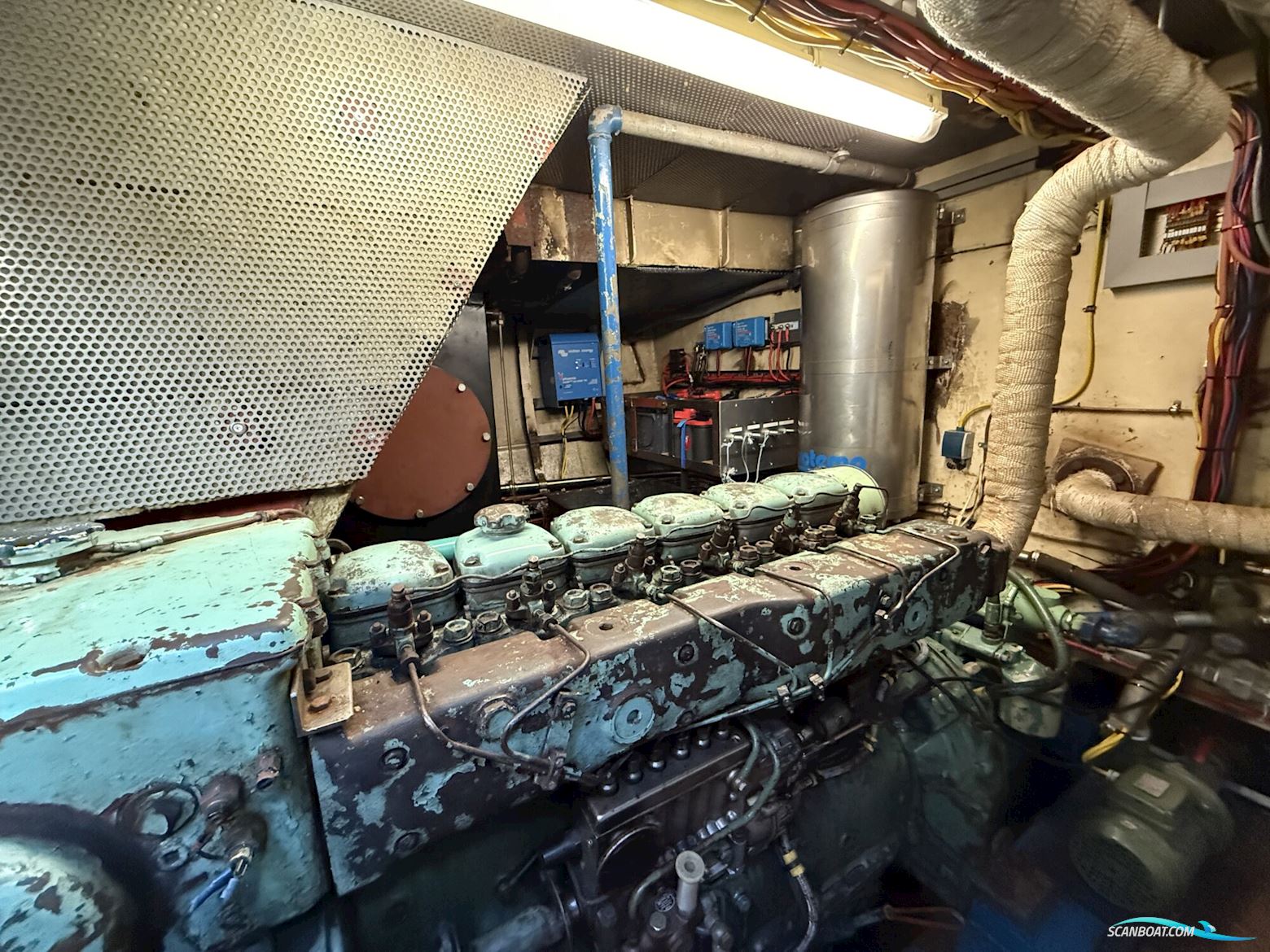 Noordzeekotter ‘WR 134’