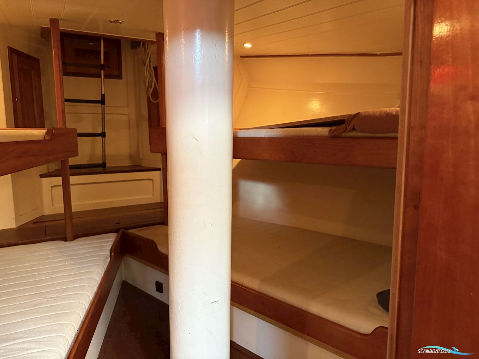 Noordzeekotter ‘WR 134’