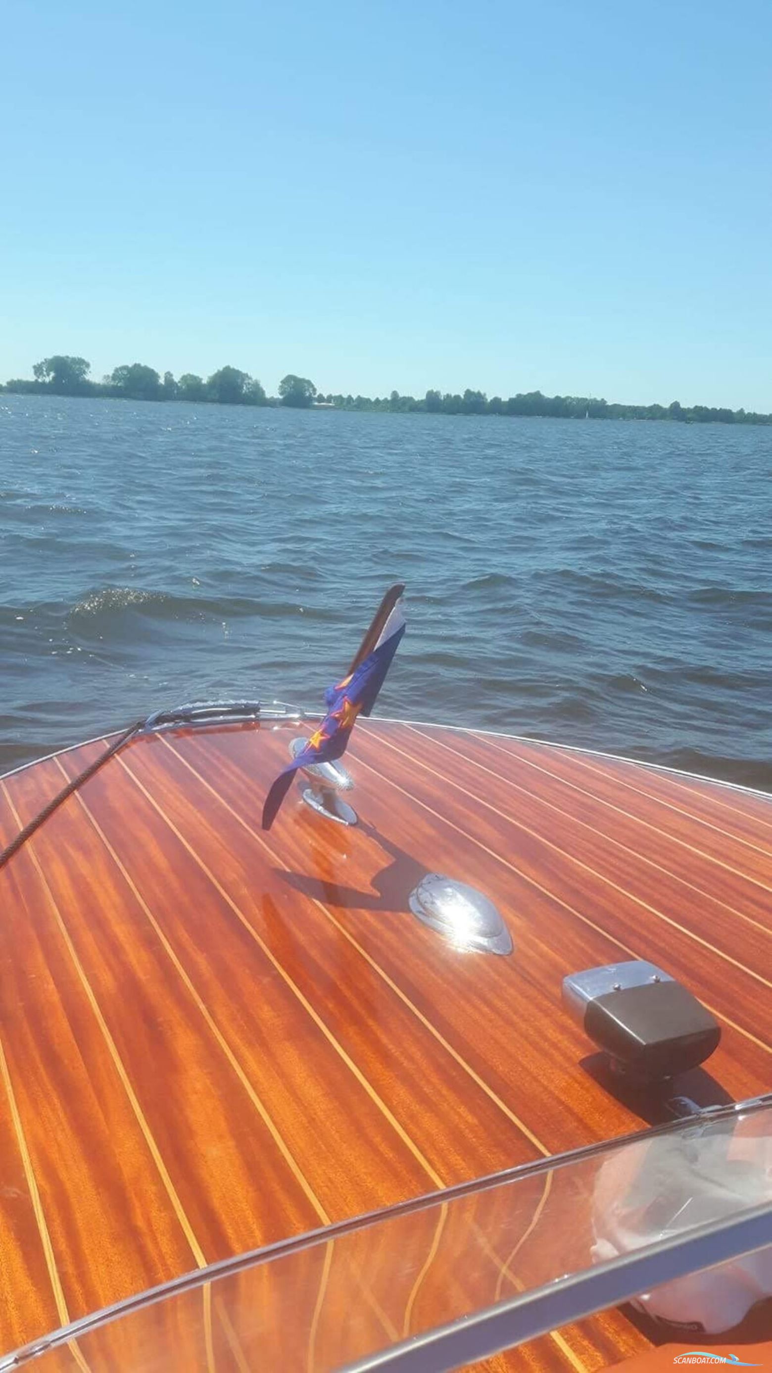 Pedrazzini Cavallino 570