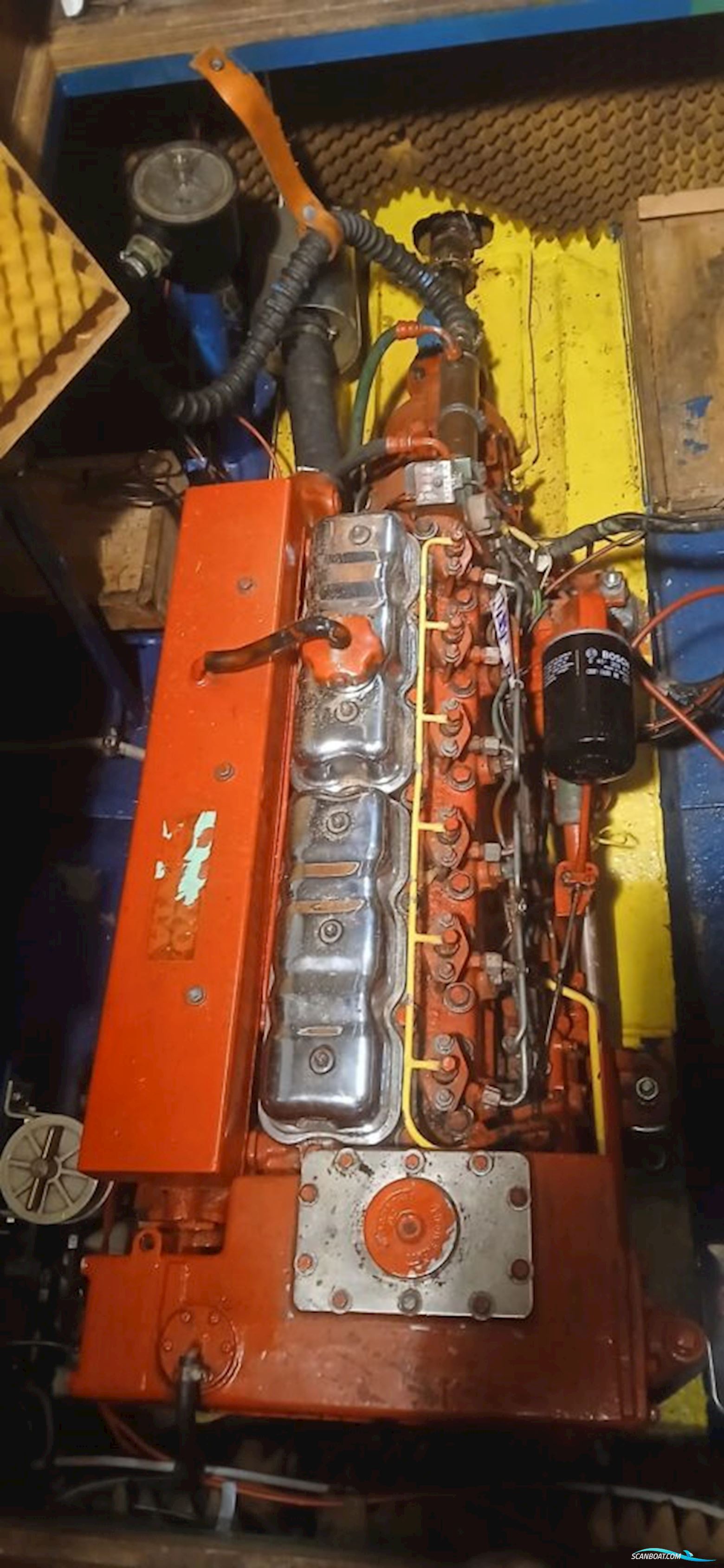 Pedro 900