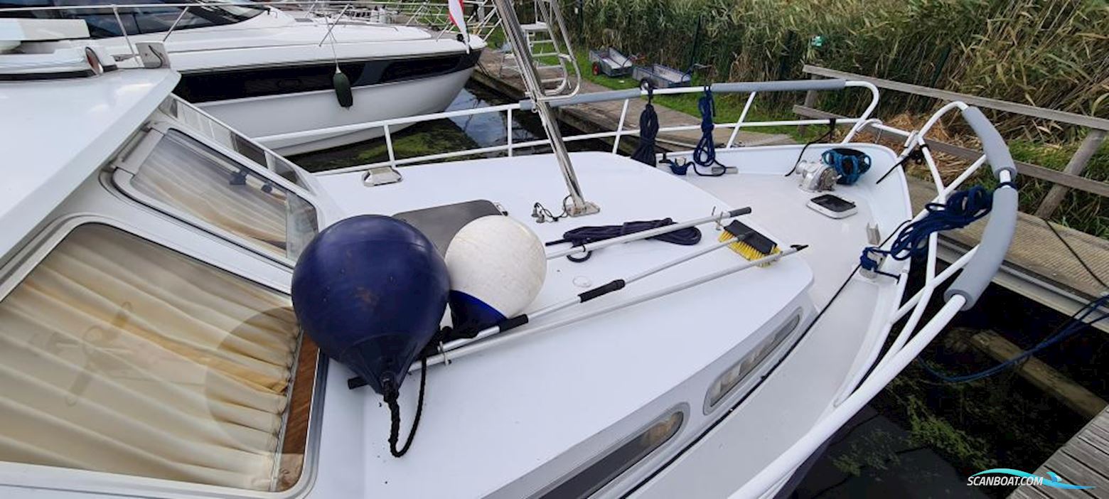 Pedro Skiron 35
