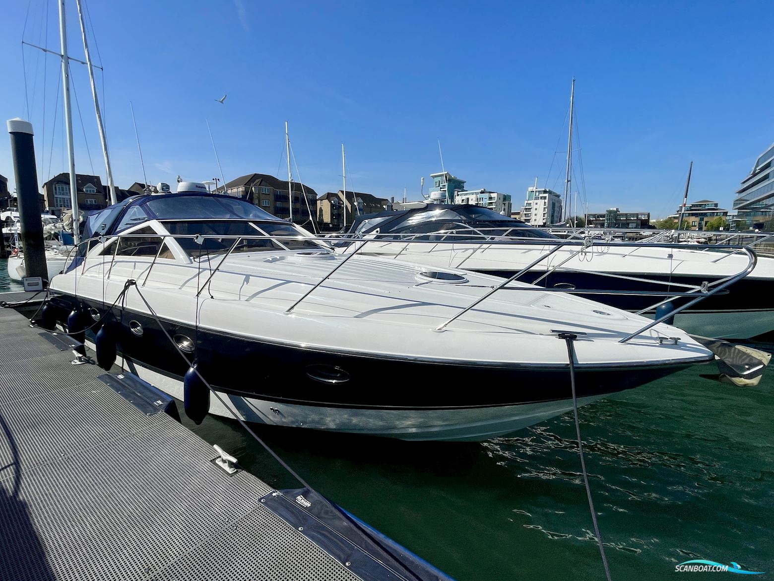 PRINCESS V40