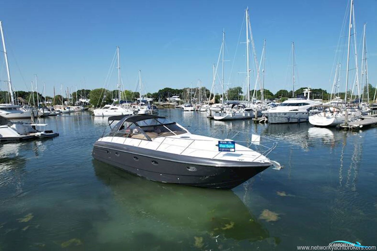 Princess V42