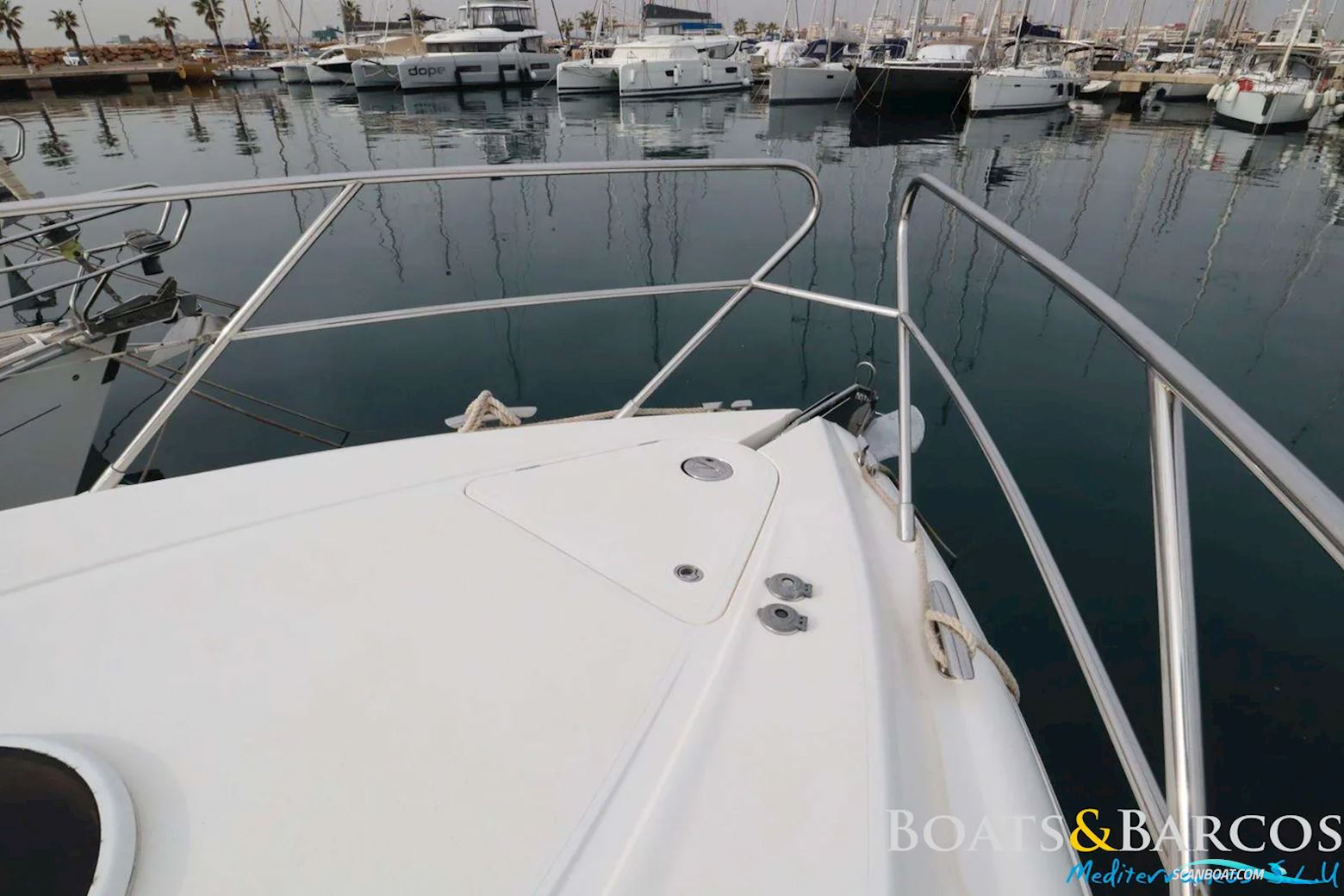 PRINCESS V42