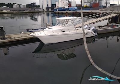 Prosport 2660 Procat Motorboten 2007, met Honda motor, Denemarken