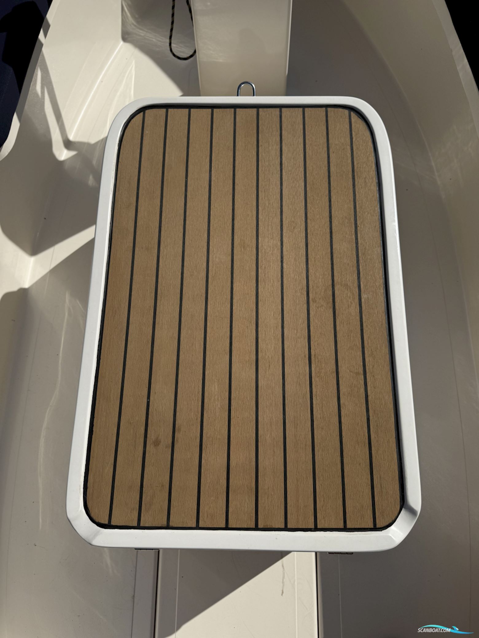 Pura Vida 550 Electric