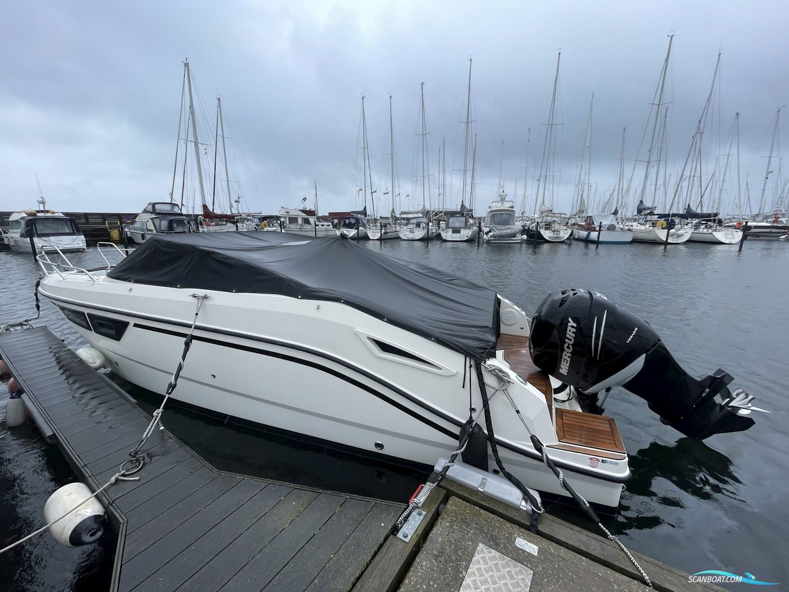 Quicksilver 805 DC Active