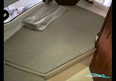 Quicksilver Activ 755 Cruiser Med Mercury F175 V6 (Dks Billigste) Motorboten 2025, Denemarken