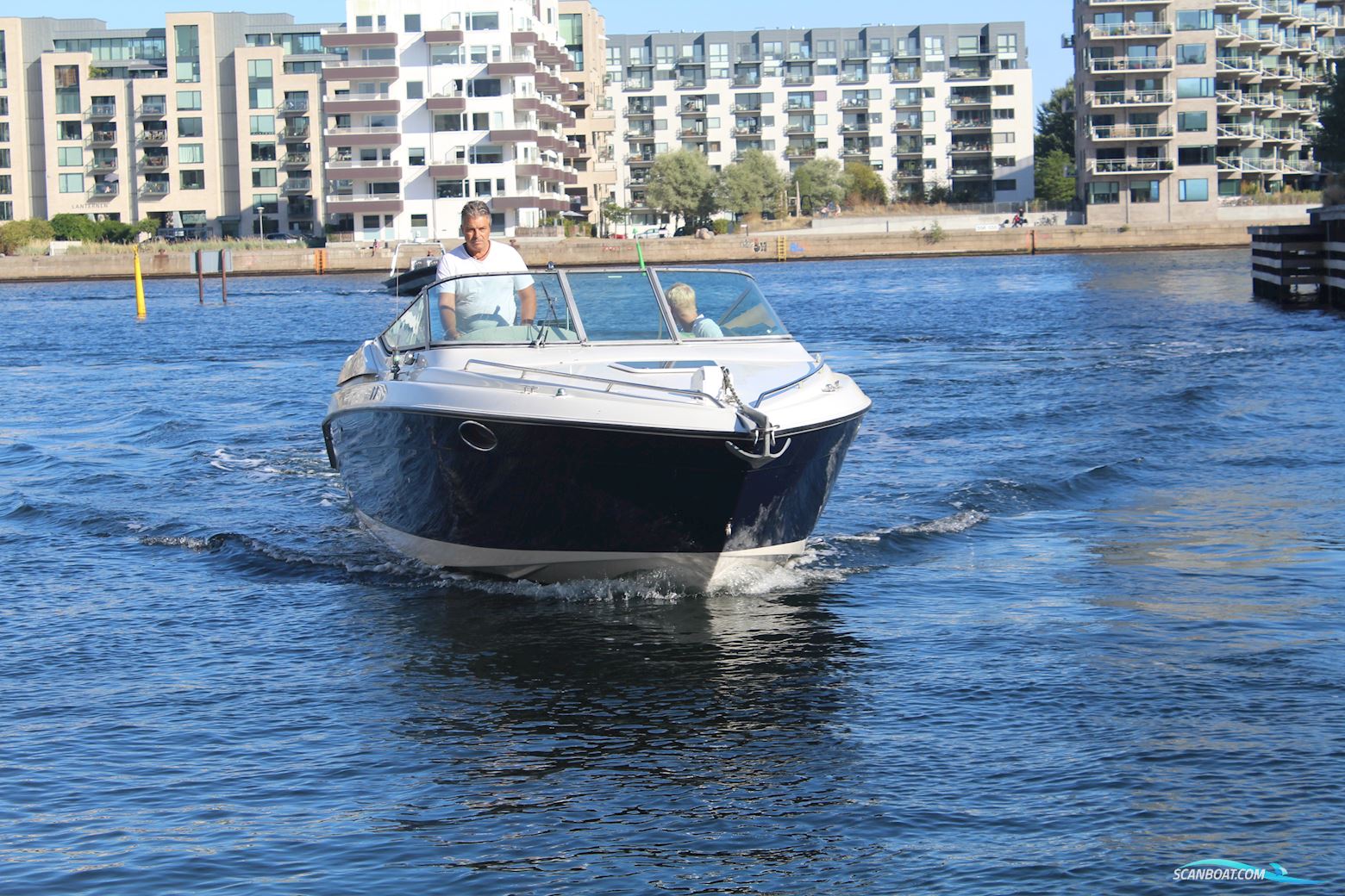 Regal 8,3 SC Ventura
