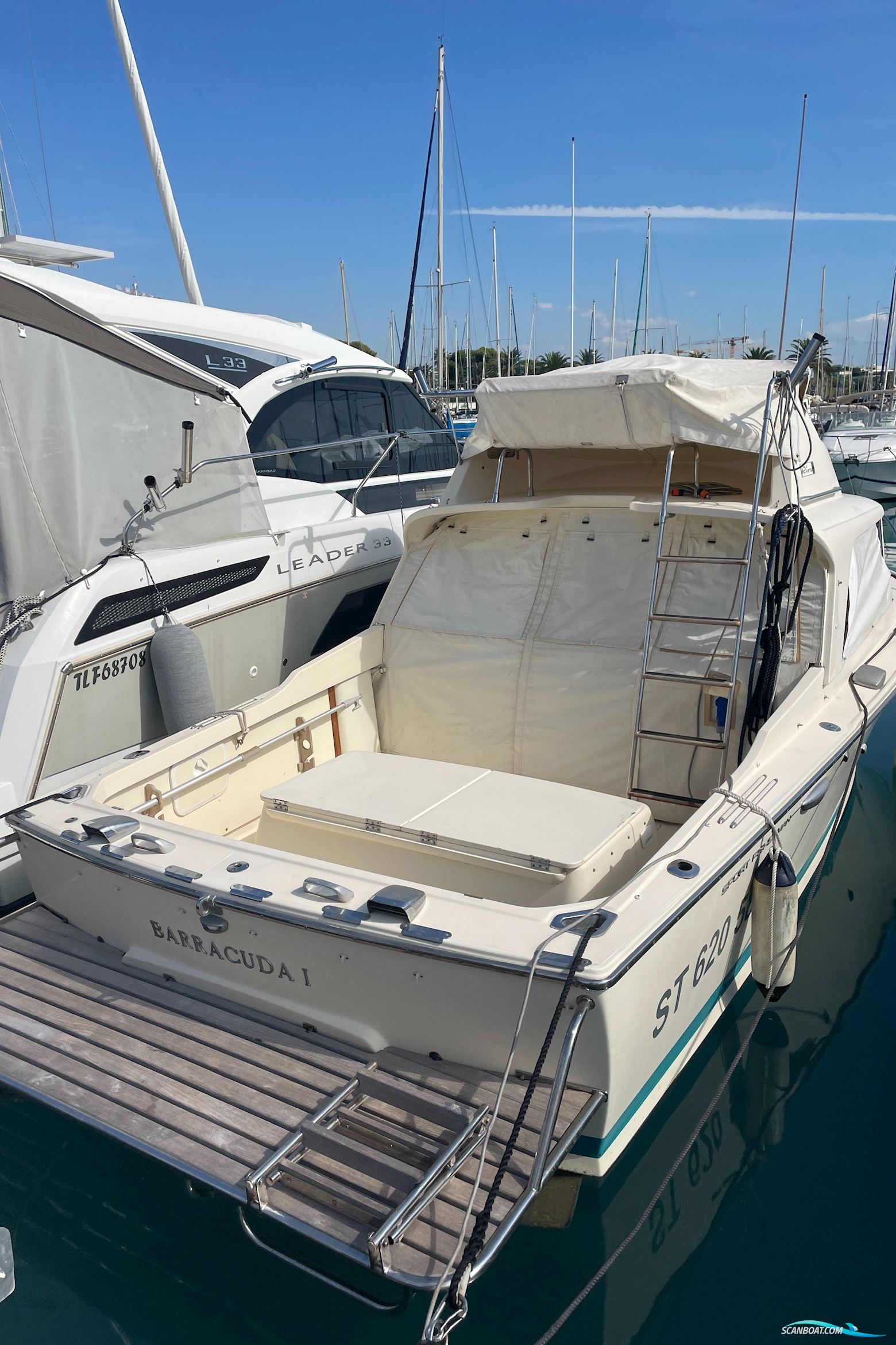 Riva Betram Sport Fish 25