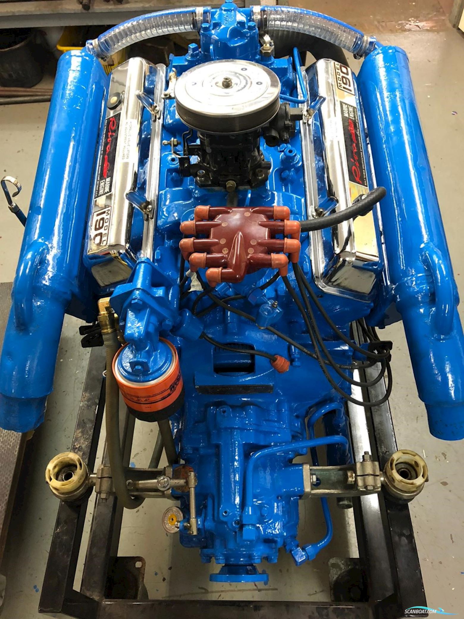 Riva Junior
