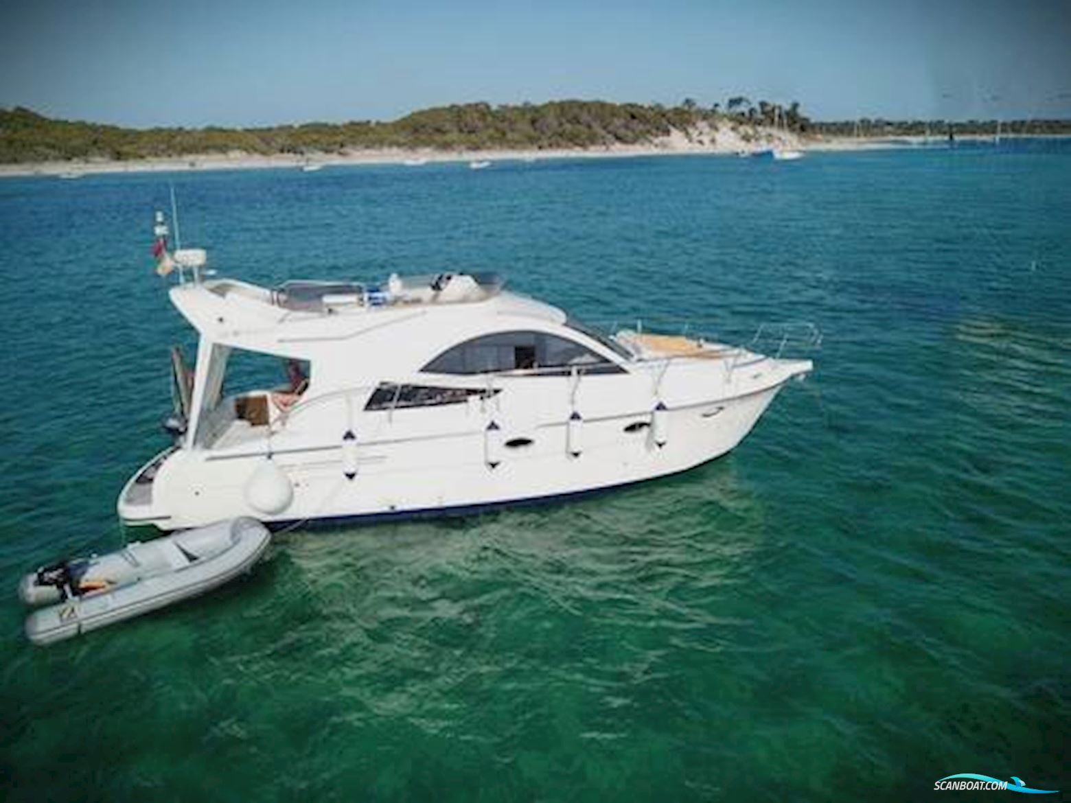 Rodman 38