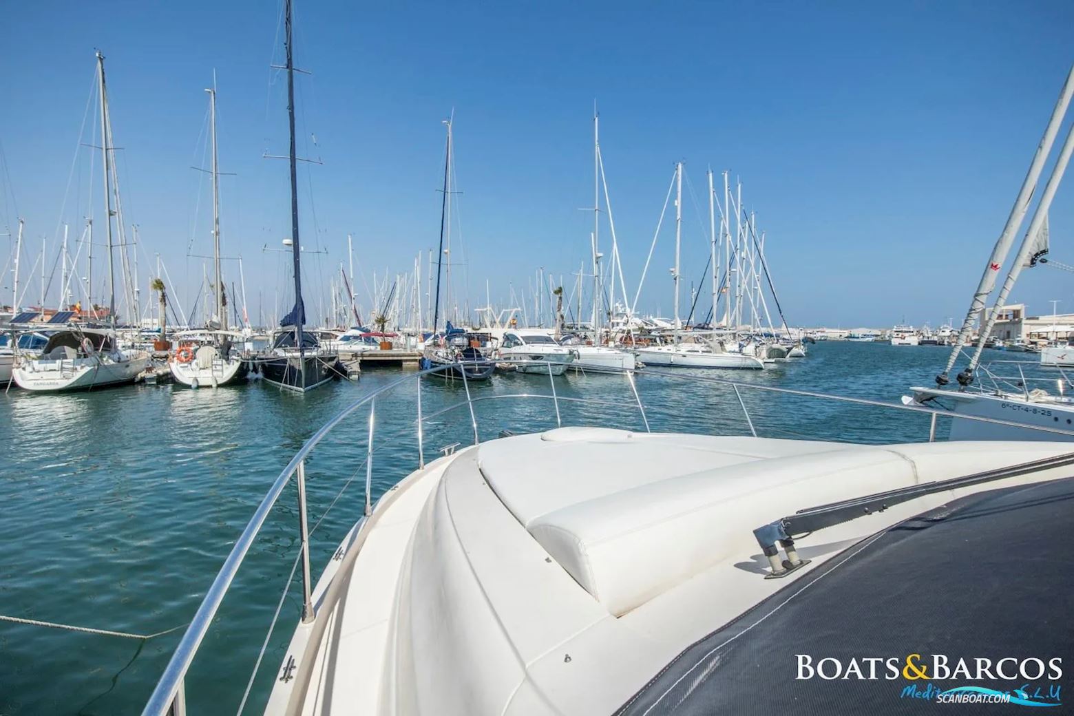 Rodman Muse 44