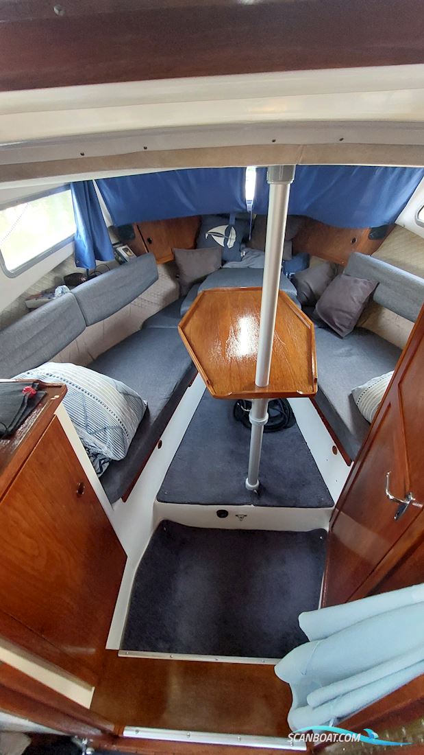 Saga 27