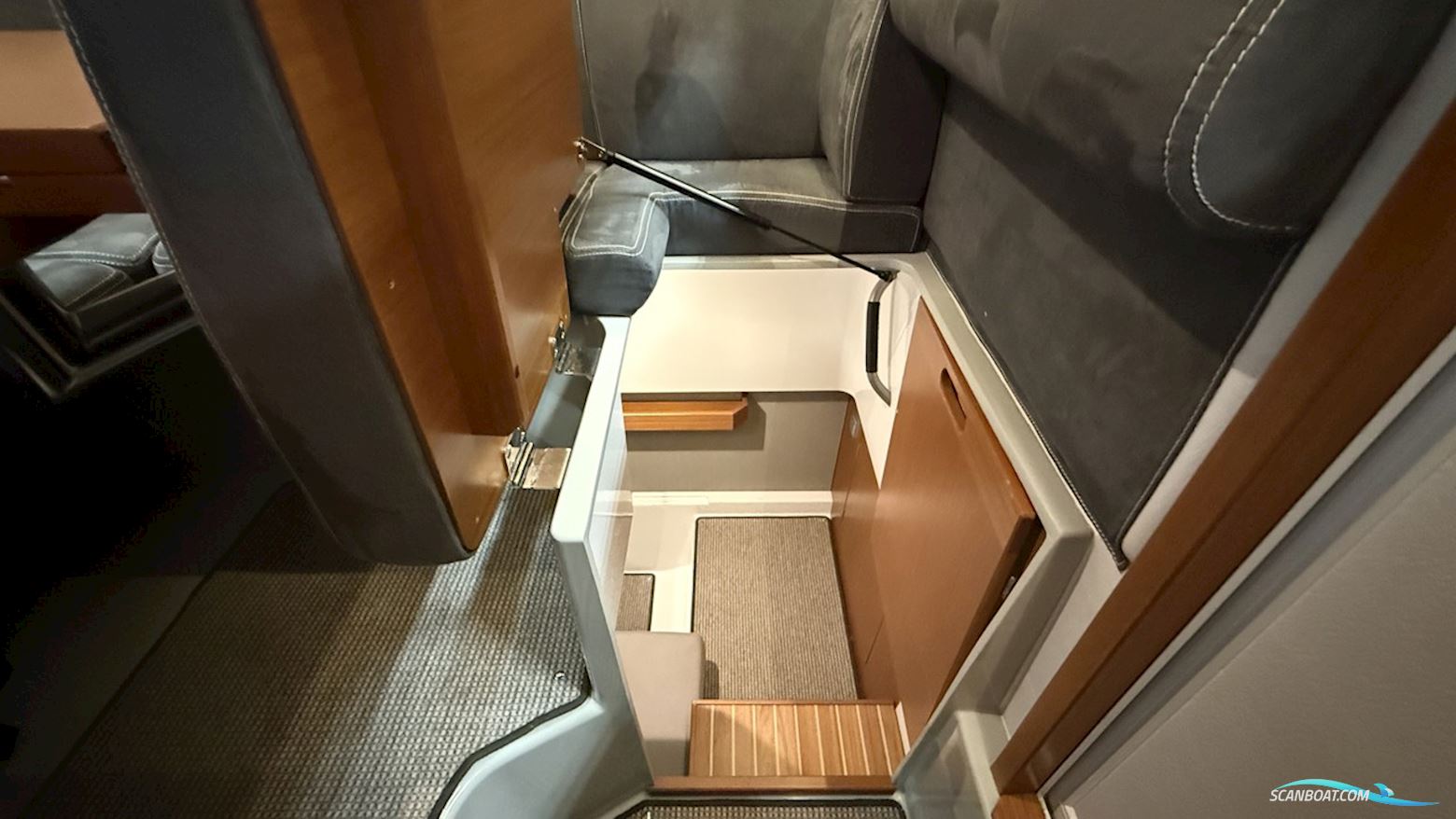 Sargo 28
